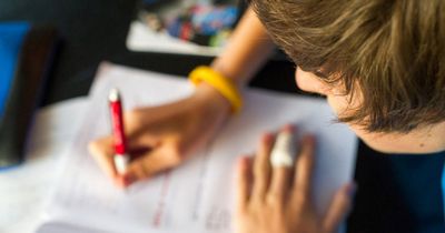  The Straightforward to Goodness Basic fact on Affordable Dissertation Help of homework questioning